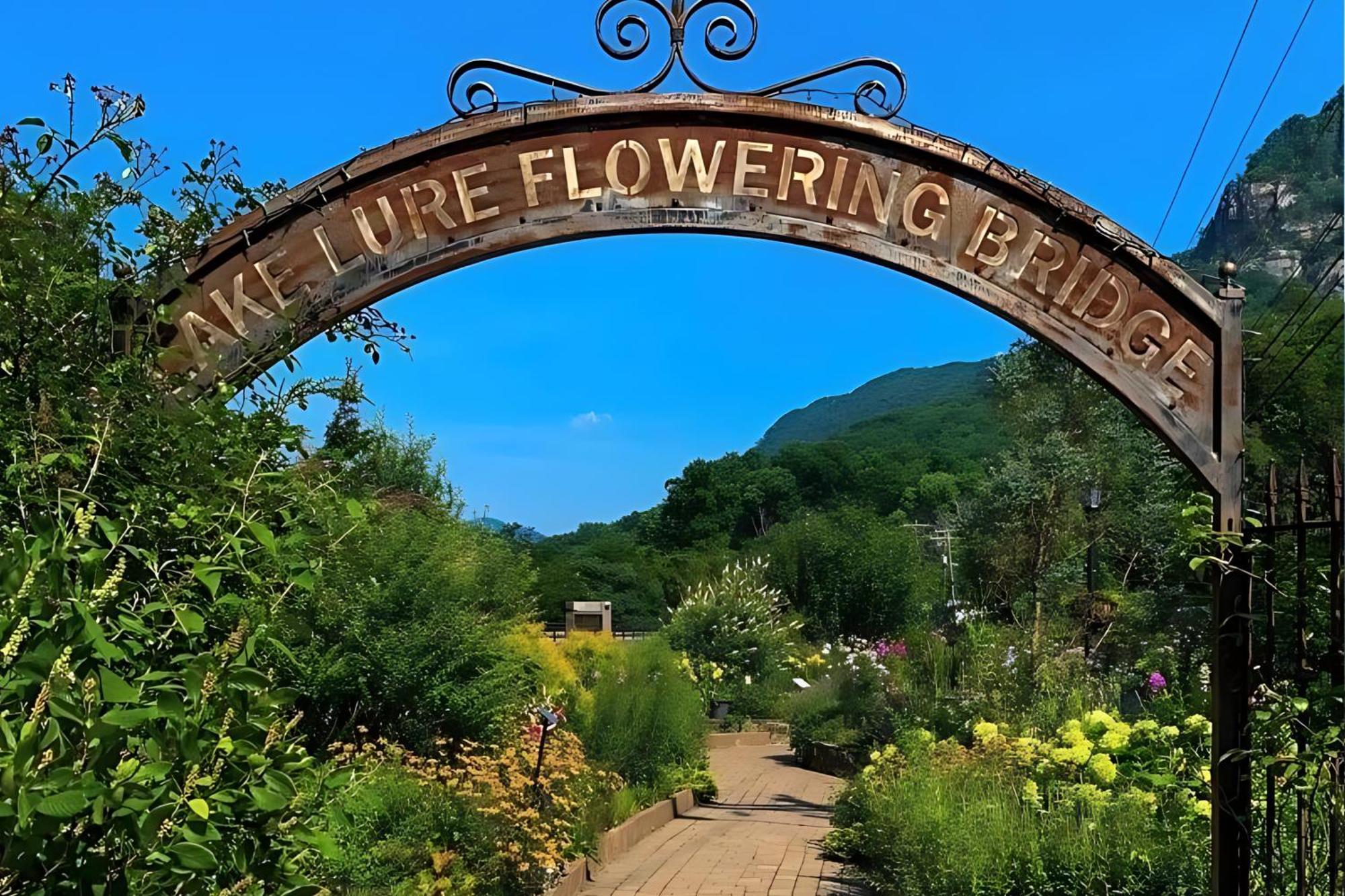 Dreaming Tree Of Lake Lure Villa Mill Spring Exteriör bild